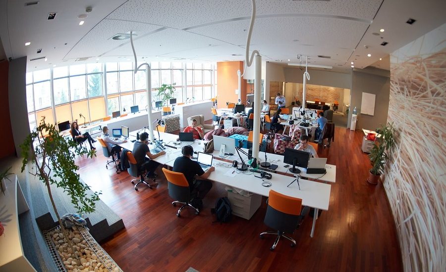 Modern office space with an open floor plan, featuring rows of desks with computers and people working, surrounded by natural light and vibrant decor.