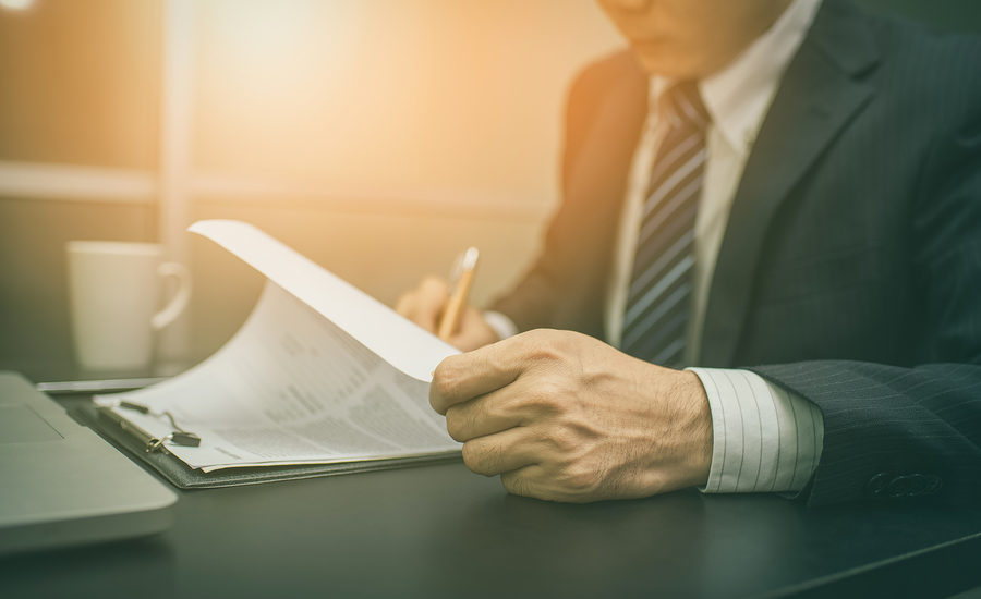Business professional reviewing a document